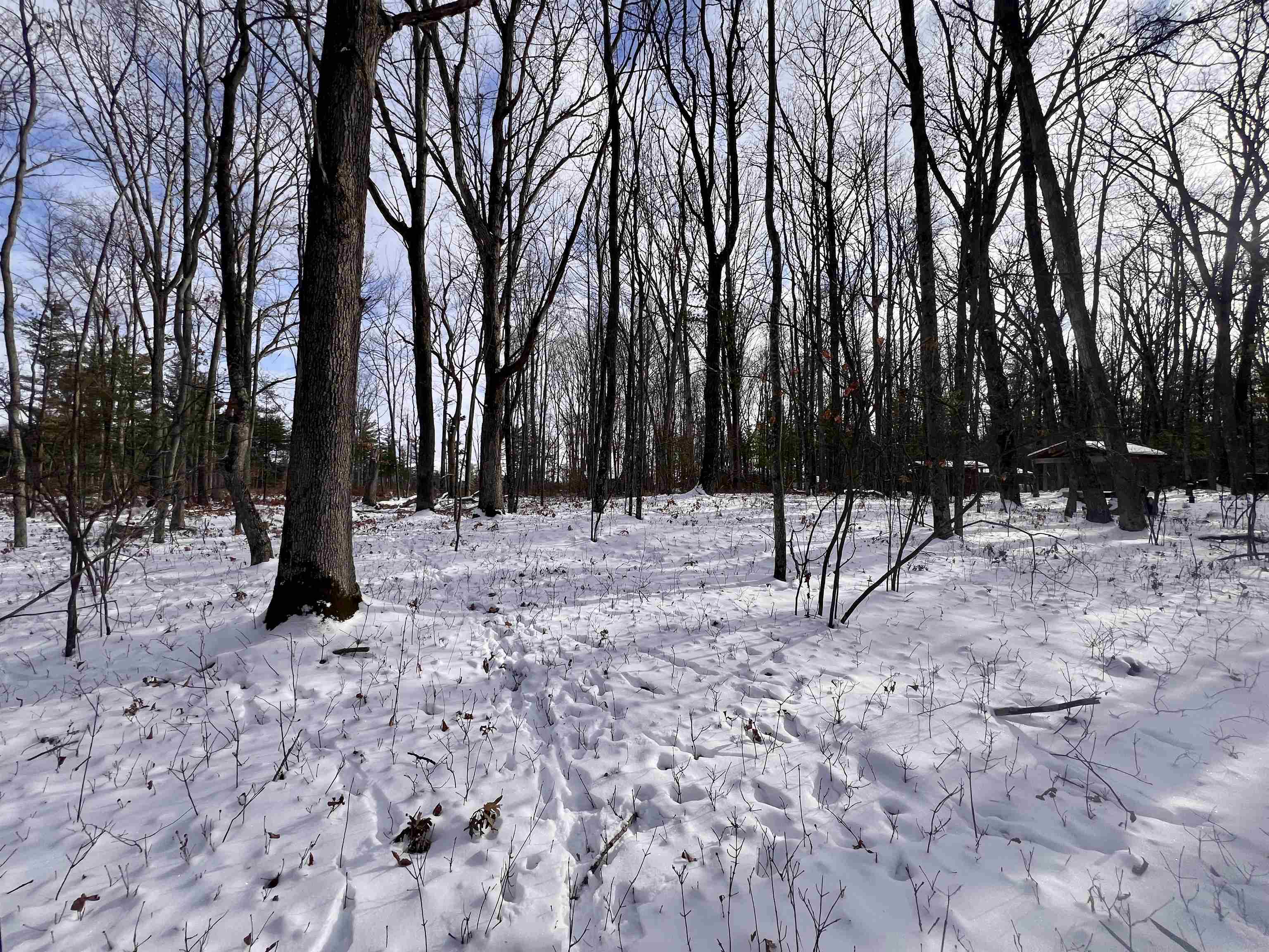 County P Road, Unit 1 Pound, WI 54161 - Photo 9 of 14