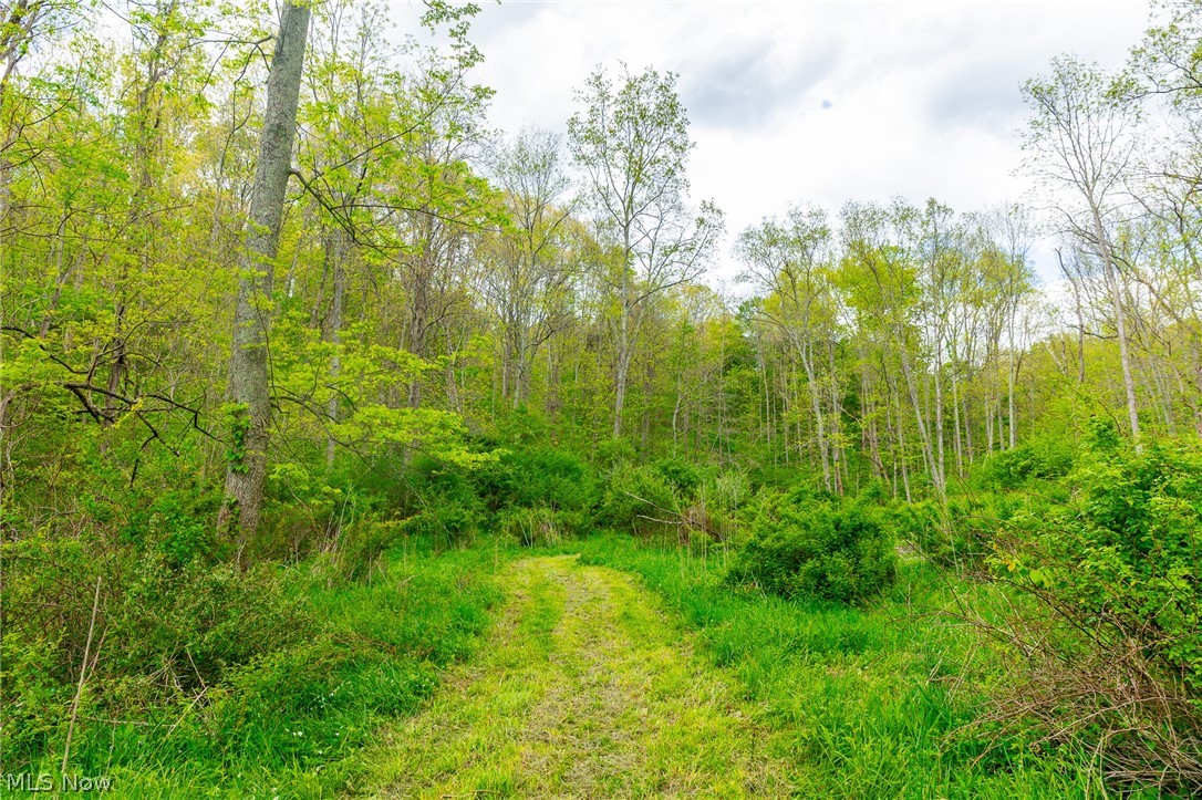 69800 Skull Fork Road Freeport, OH 43973 - Photo 46 of 50