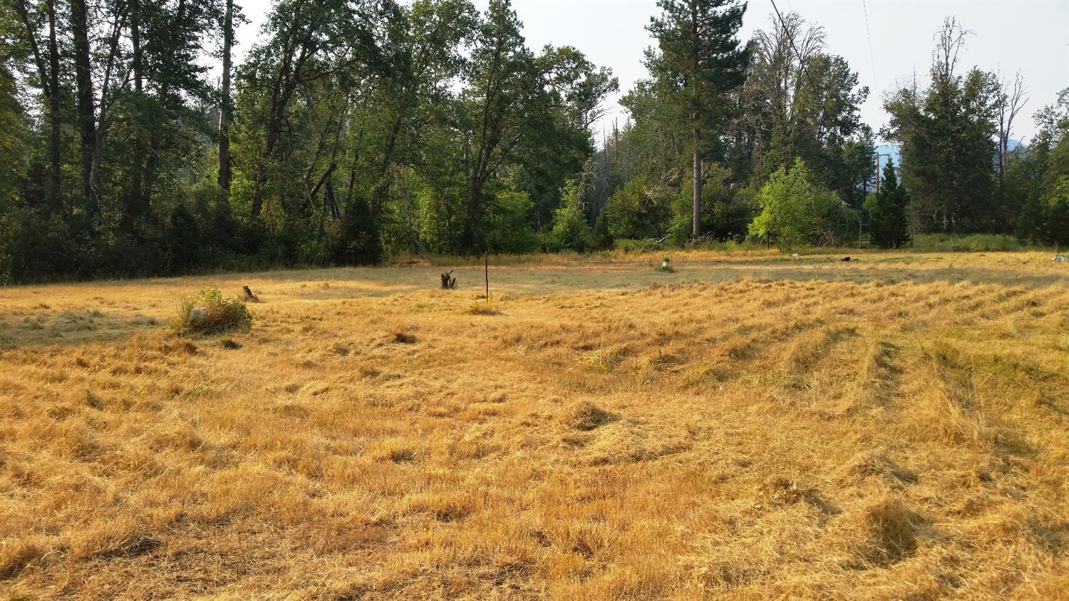6442 Holland Loop Road Cave Junction, OR 97523 - Photo 9 of 9 Lots of level area for multi use. Plenty
