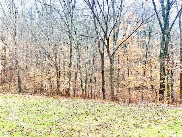 1290 James Meece Road Somerset, KY 42501 - Photo 5 of 11 0-3