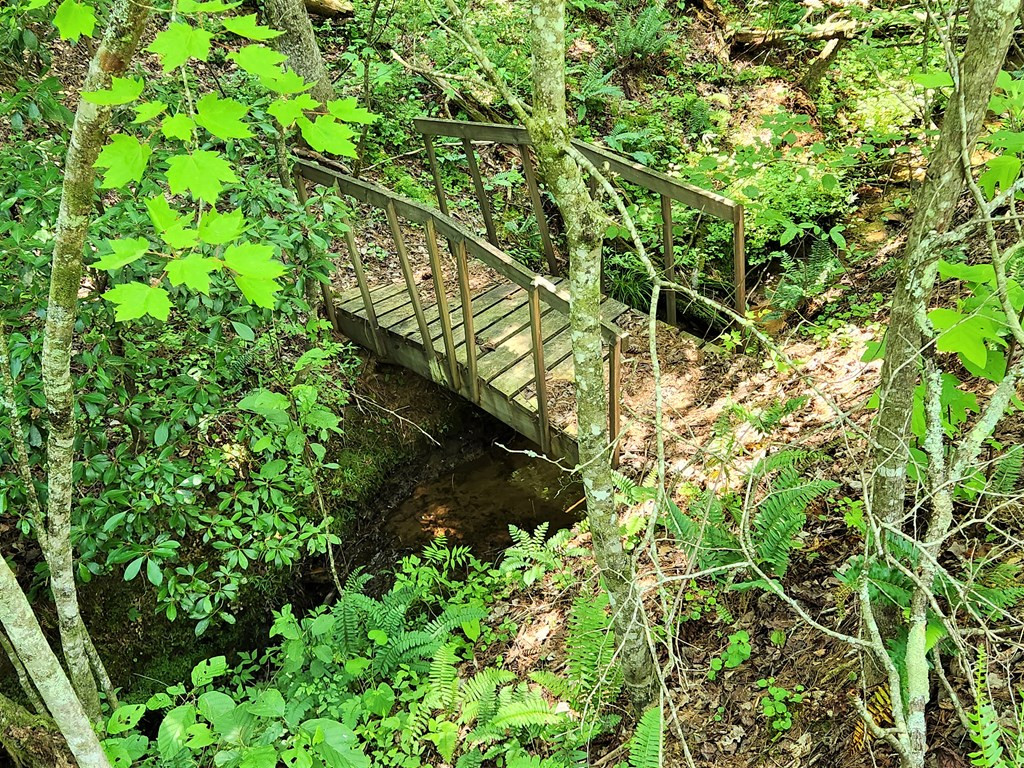 Lot 26 Dotson Road Murphy, NC 28906 - Photo 8 of 12 BRIDGE OVER CREEK