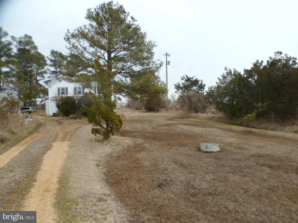 16712 Piney Point Road Piney Point, MD 20674 - Photo 13 of 29 a view of a fire pit with large trees
