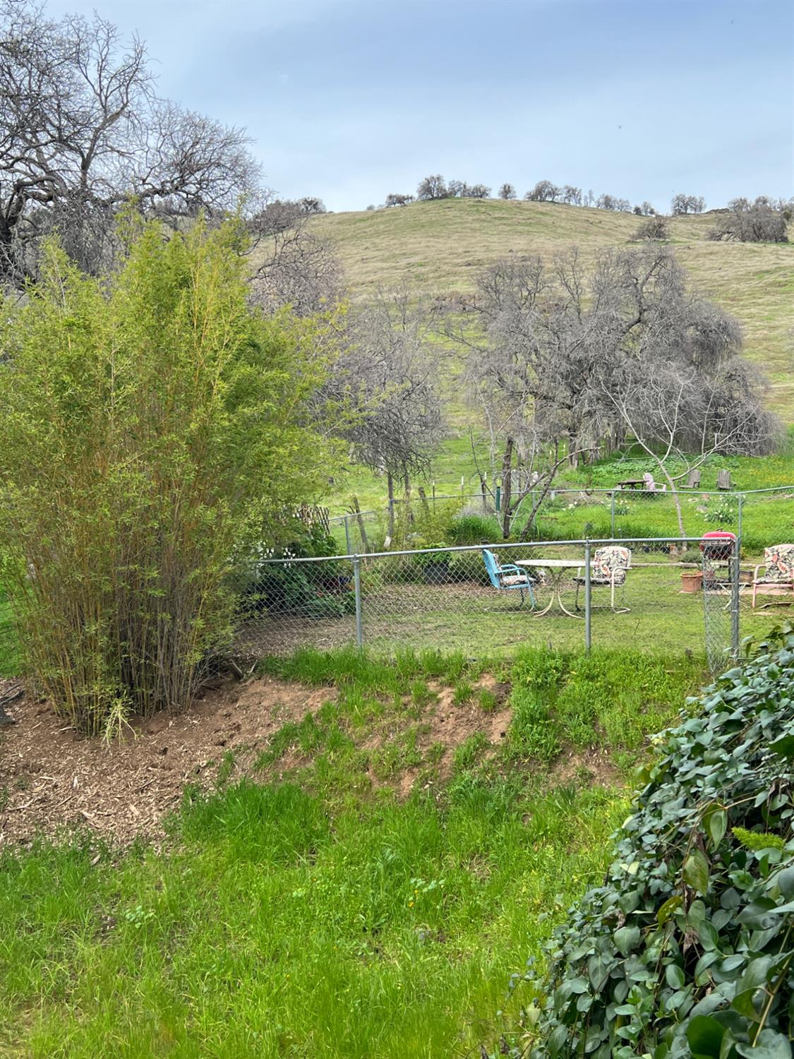 30284 Bear Mountain Road Squaw Valley, CA 93675 - Photo 24 of 62