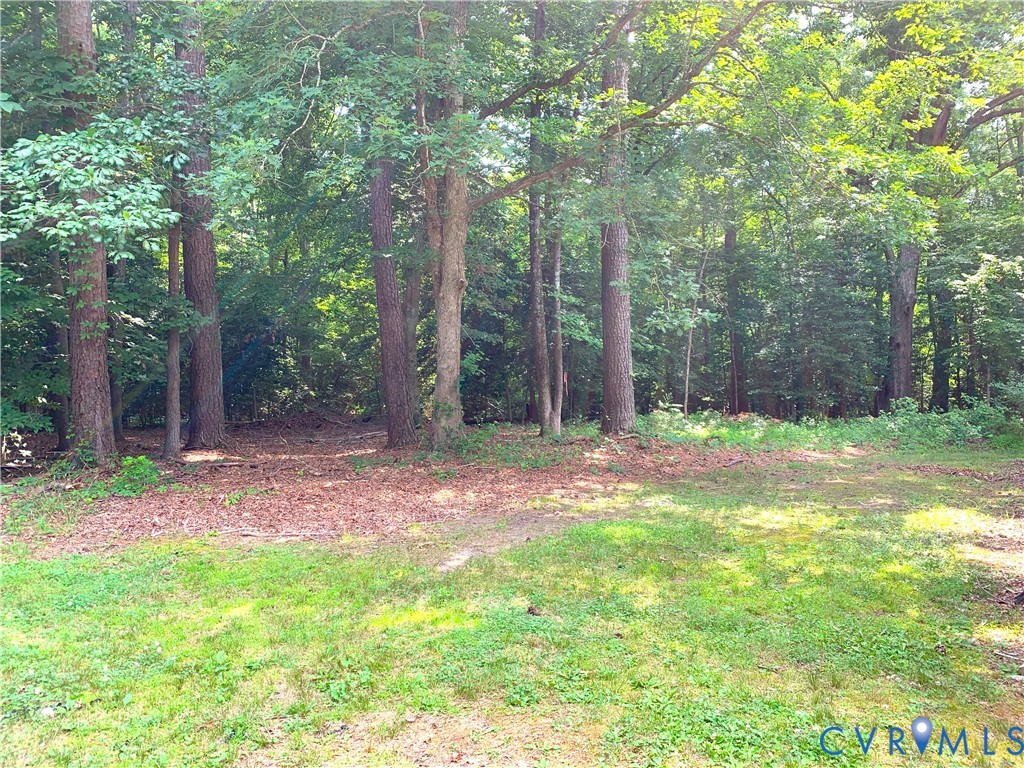 10009 Merchants Hope Road Hopewell, VA 23860 - Photo 20 of 22 Back