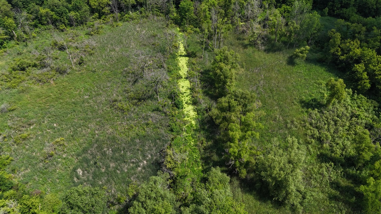 9500 North Meridian Road Pleasant Lake, MI 49272 - Photo 22 of 61