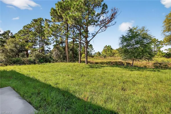 a view of yard with green space