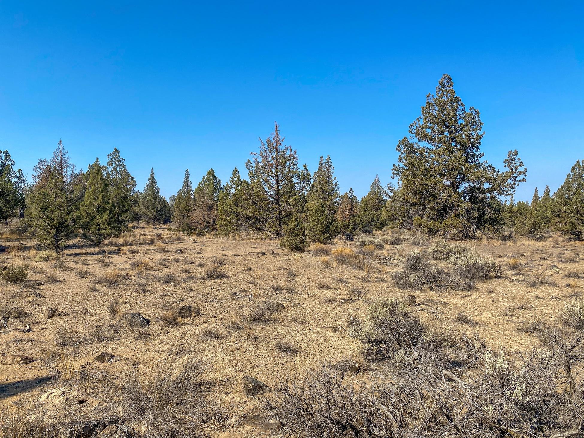 5805 Southwest Mount Jefferson Way Powell Butte, OR 97753 - Photo 11 of 15 11