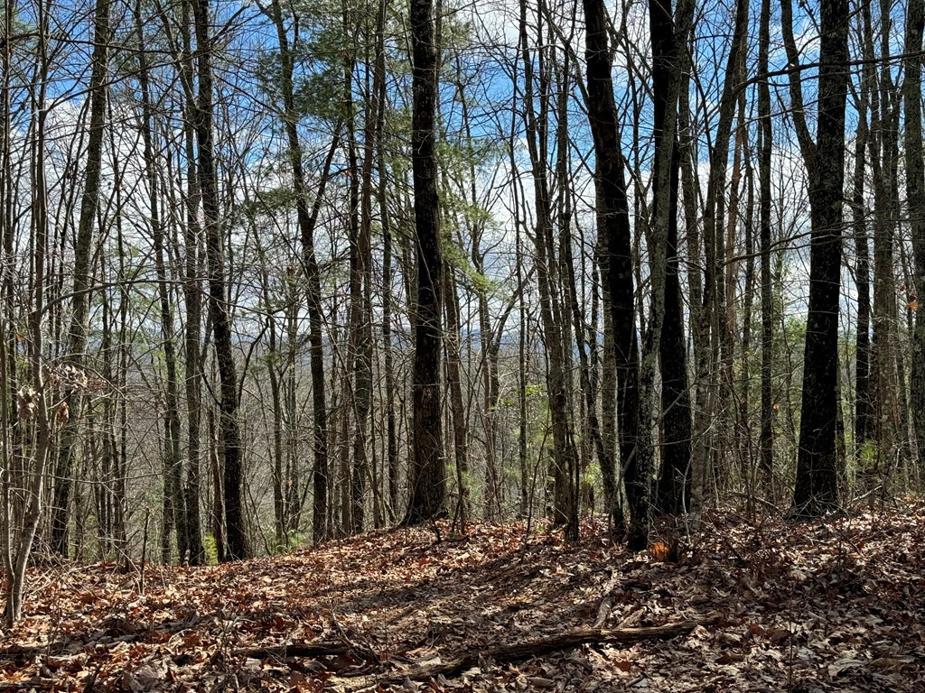 22-24 Rye Field Road Murphy, NC 28906 - Photo 21 of 26
