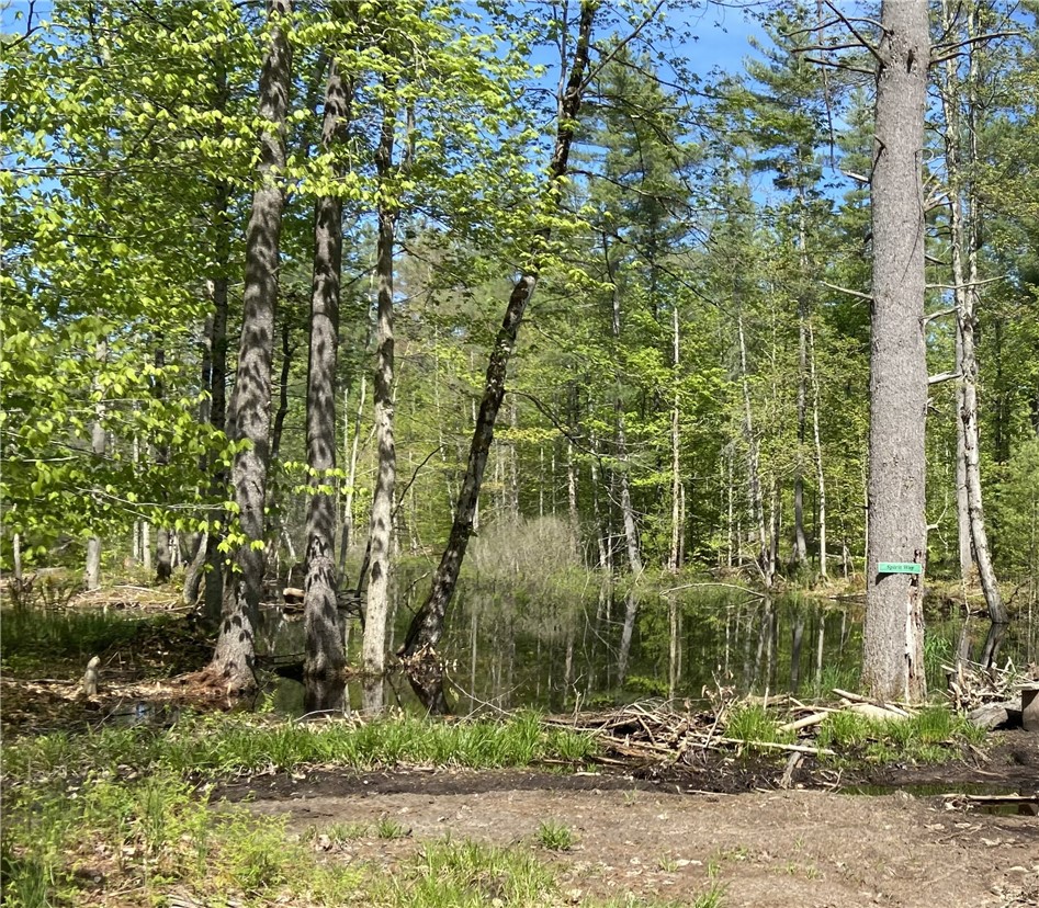 0 Adams Hill Road Croghan, NY 13327 - Photo 7 of 16