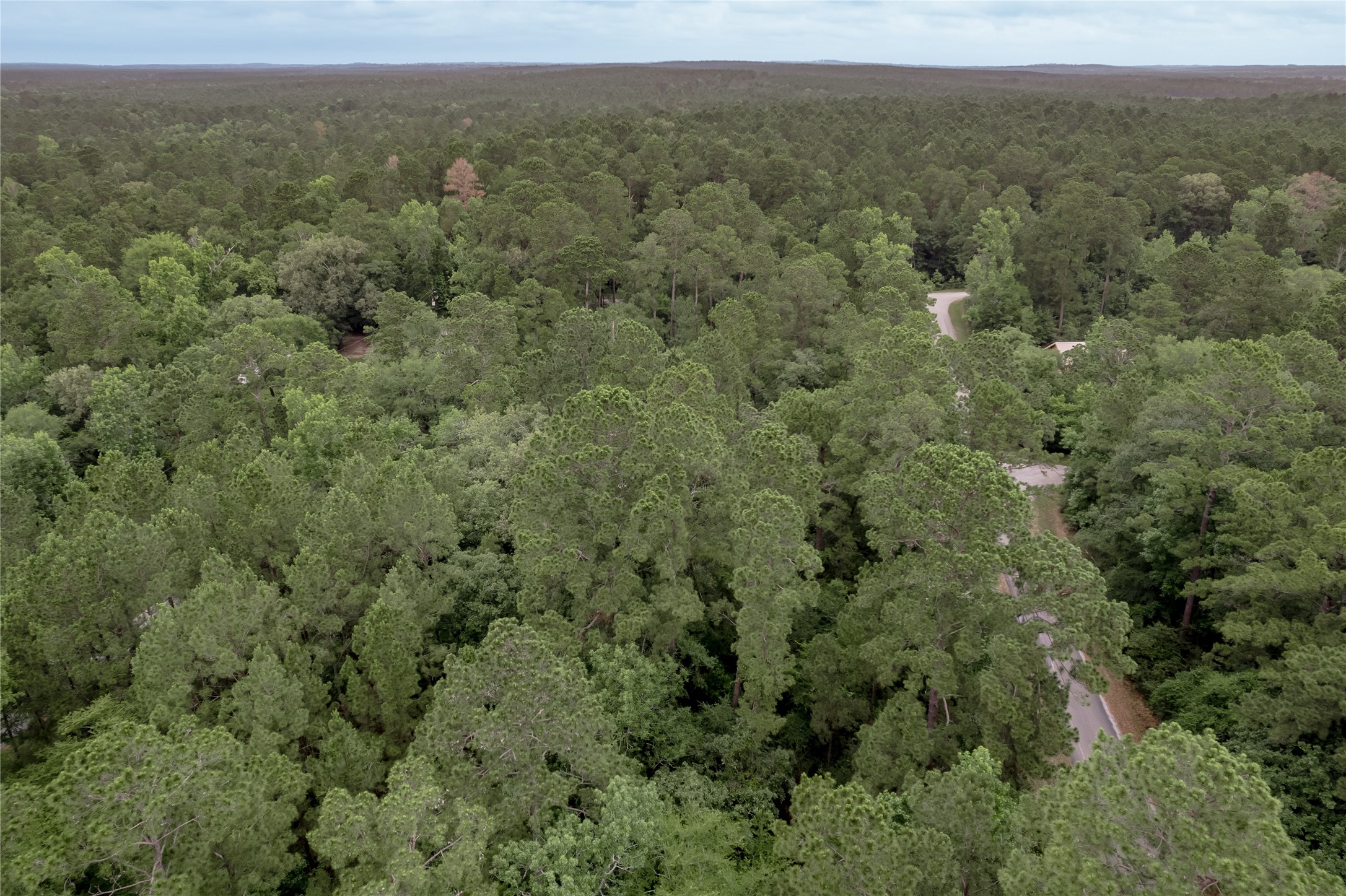 Lot 07 Oak Drive Trinity, TX 75862 - Photo 29 of 36