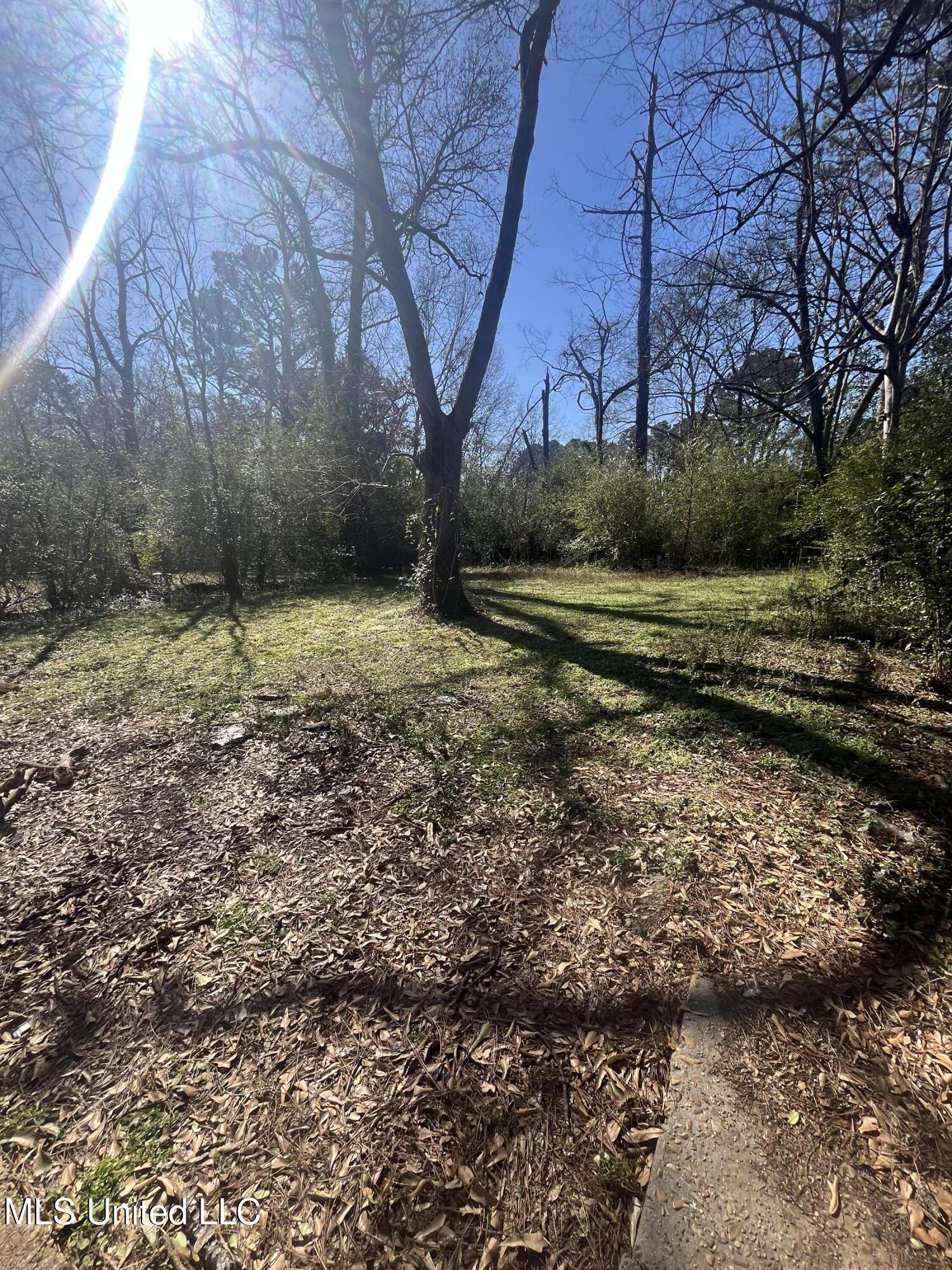 979 Winn Street Jackson, MS 39204 - Photo 22 of 24 IMG_1826