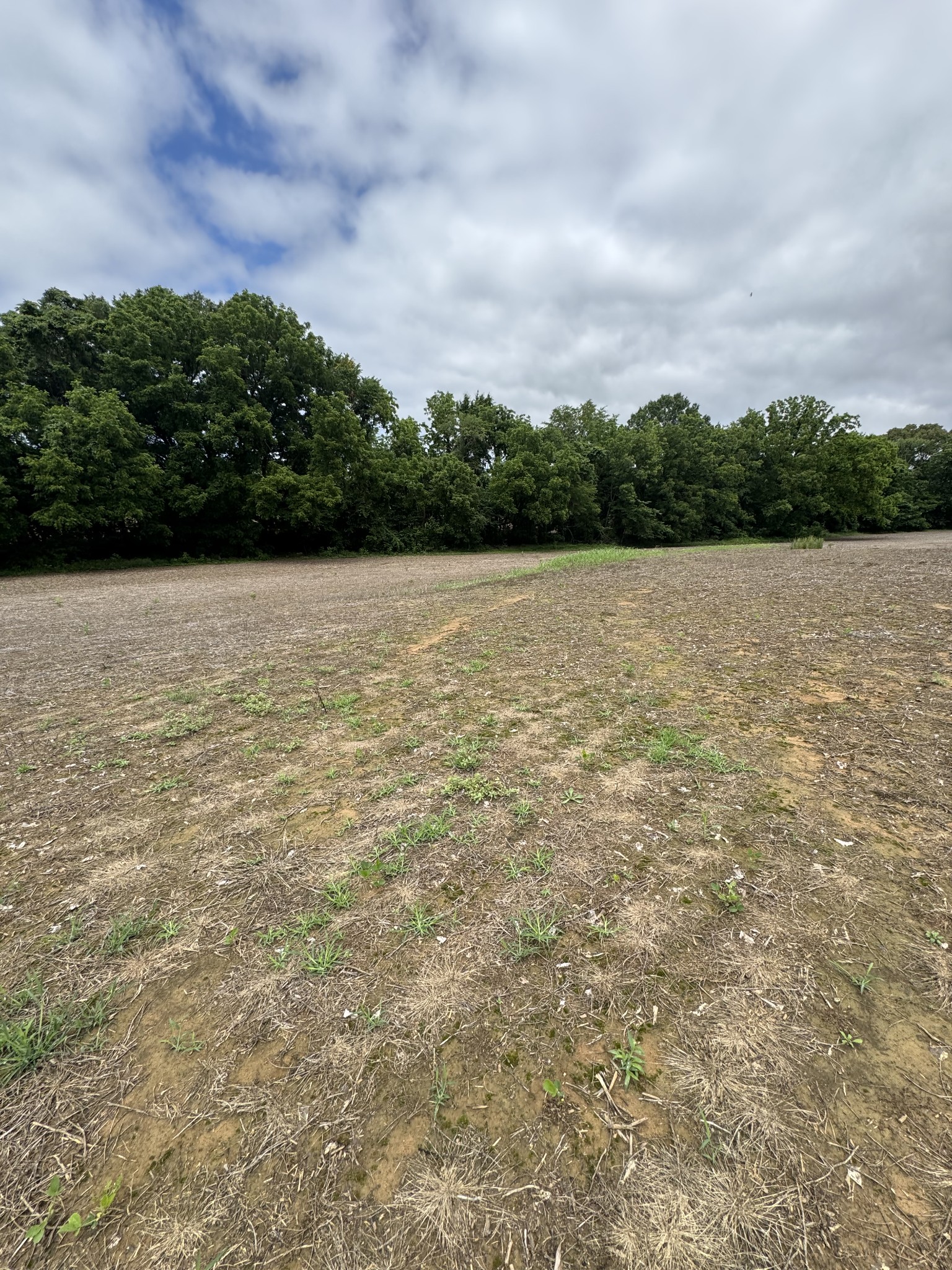 325 Harts Mill Road Atwood, TN 38220 - Photo 23 of 44