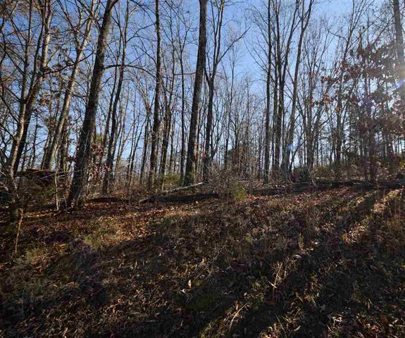 335 Casteel Road Cleveland, TN 37323 - Photo 41 of 41 20176761-42