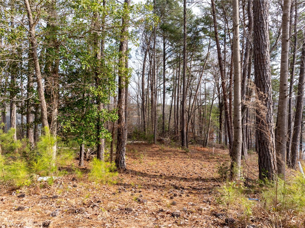 537 Peninsula Road West Union, SC 29696 - Photo 15 of 15 This tranquil wooded lot offers a peaceful retreat for your future home.