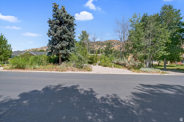 510 Spring Creek Road Providence, UT 84332 - Photo 89 of 97 Paved street with a gravel shoulder, featuring mature trees and established shrubbery, with distant mountain scenery