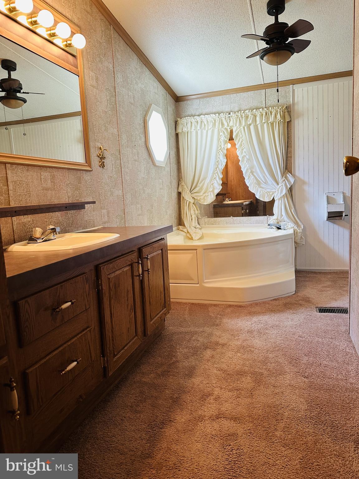 16935 Alcott Road Hagerstown, MD 21740 - Photo 9 of 9 a bathroom with a sink and a mirror