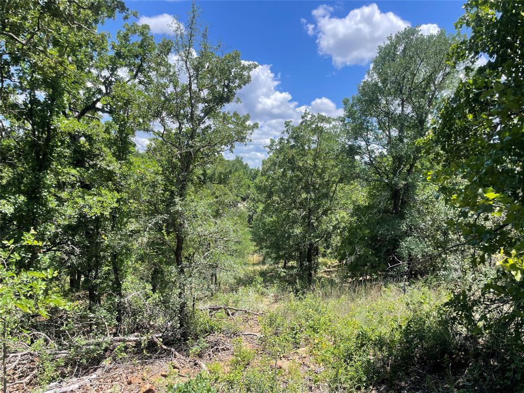 0 Lower Tonk Valley Road Graham, TX 76450 - Photo 6 of 35
