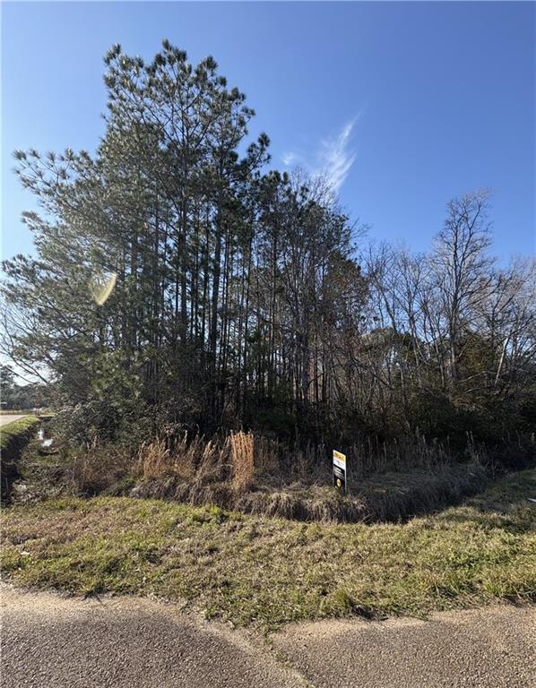 70465 11th Street Covington, LA 70433 - Photo 2 of 4