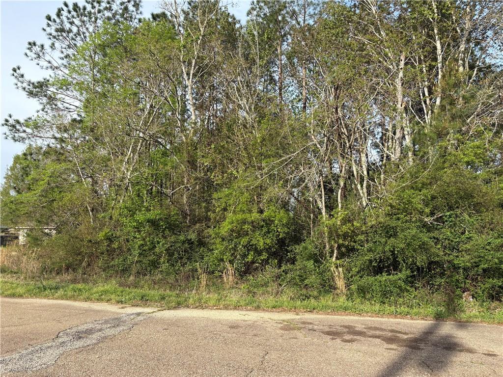 70465 11th Street Covington, LA 70433 - Photo 4 of 4