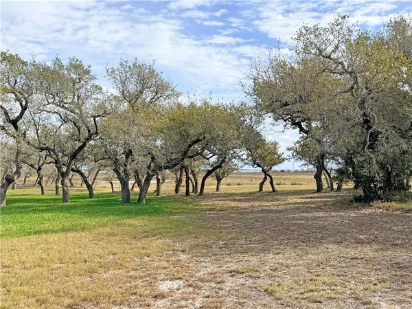 a view of a house with backyard and a tree
