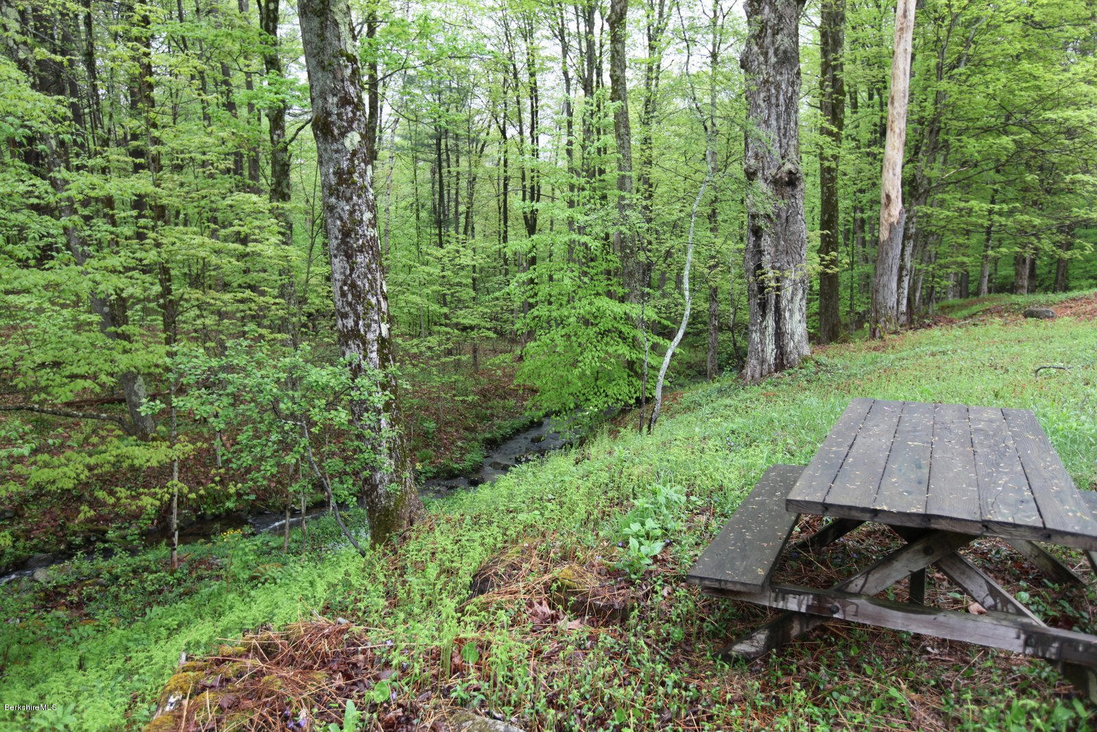 136 Tyringham Road Monterey, MA 01245 - Photo 4 of 27 a view of backyard with green space