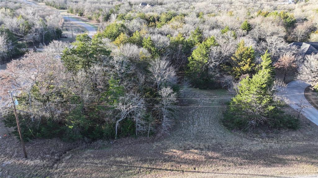 2256 County Road 2256 Valley View, TX 76272 - Photo 13 of 18 a view of a forest with trees