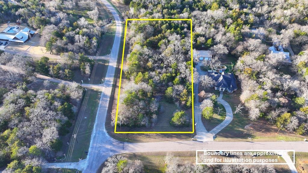 2256 County Road 2256 Valley View, TX 76272 - Photo 15 of 18 a view of a painting of a tree