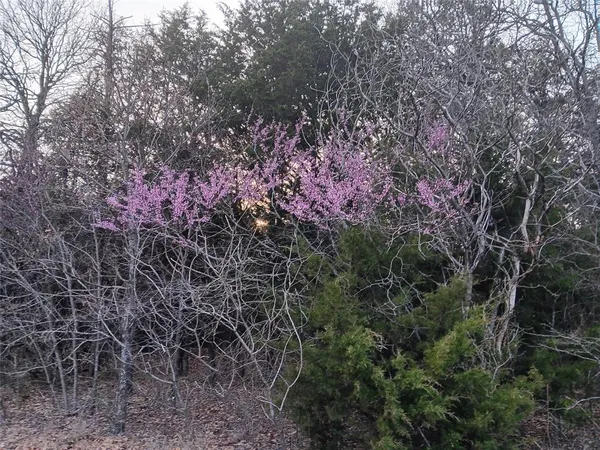 $139,900 | 2256 County Road 2256, Valley View, TX 76272