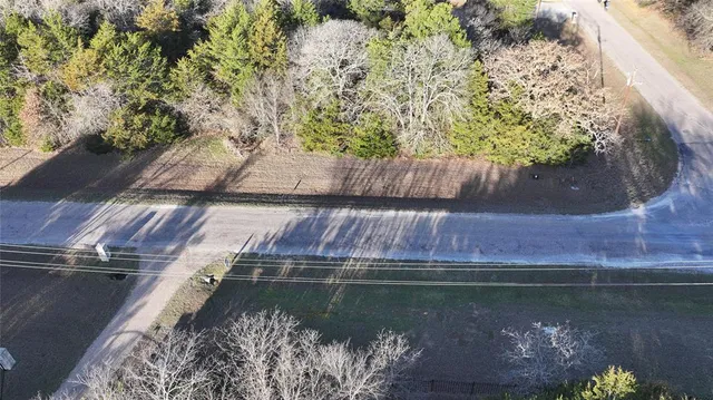 a view of a tree with a yard