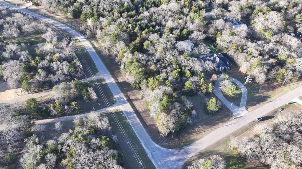 2256 County Road 2256 Valley View, TX 76272 - Photo 7 of 18 a view of a tree with a yard