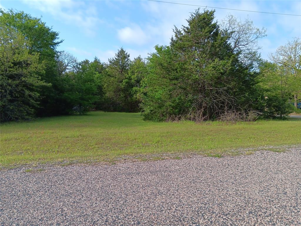 2256 County Road 2256 Valley View, TX 76272 - Photo 9 of 18 a view of a field with an trees in the background