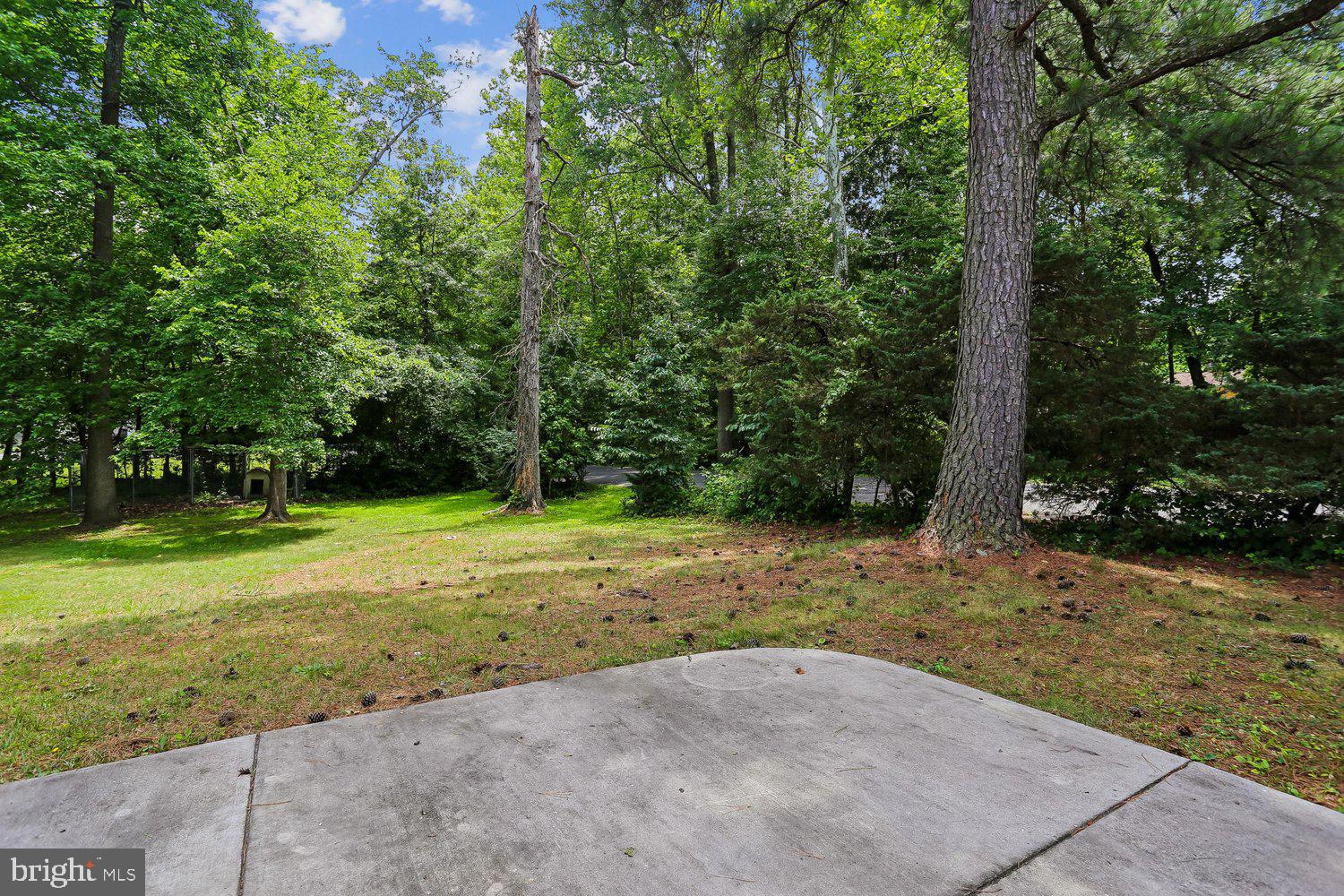 8303 Montpelier Drive Laurel, MD 20708 - Photo 32 of 41 View From Back
