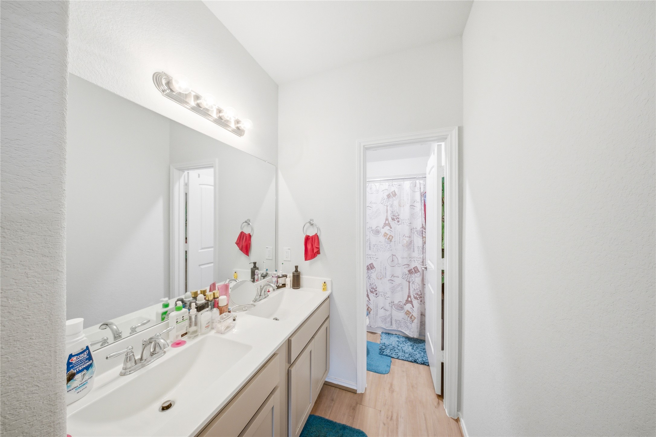 1622 Homewood Point Lane Rosharon, TX 77583 - Photo 34 of 41 a en suite bathroom with a sink mirror and shower