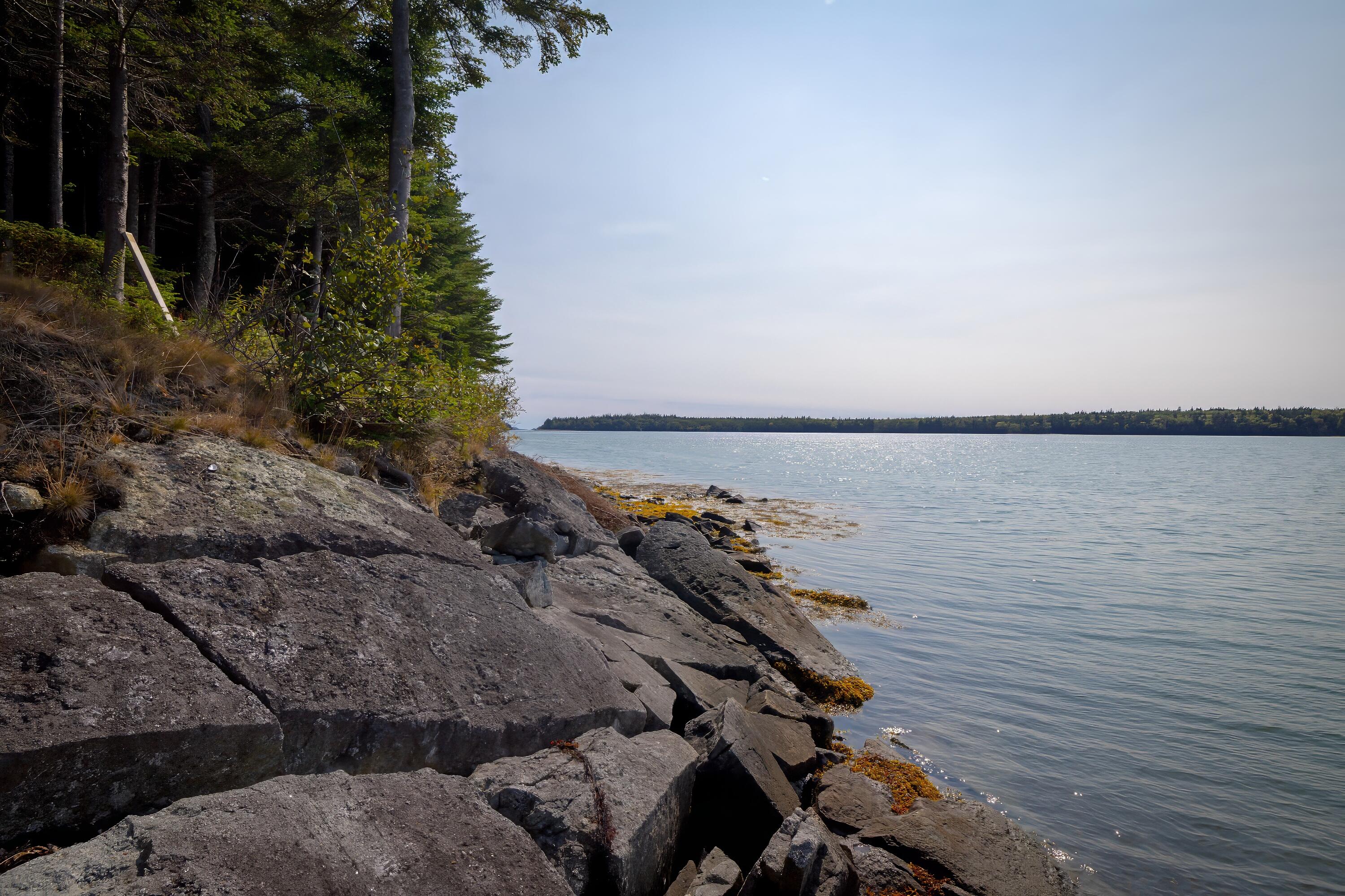 525 Yoho Head Road Machiasport, ME 04655 - Photo 116 of 128 116-525 Yoho Head-DTP