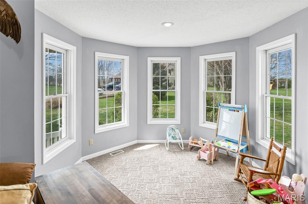 124 Evergreen Court Brighton, IL 62012 - Photo 25 of 69