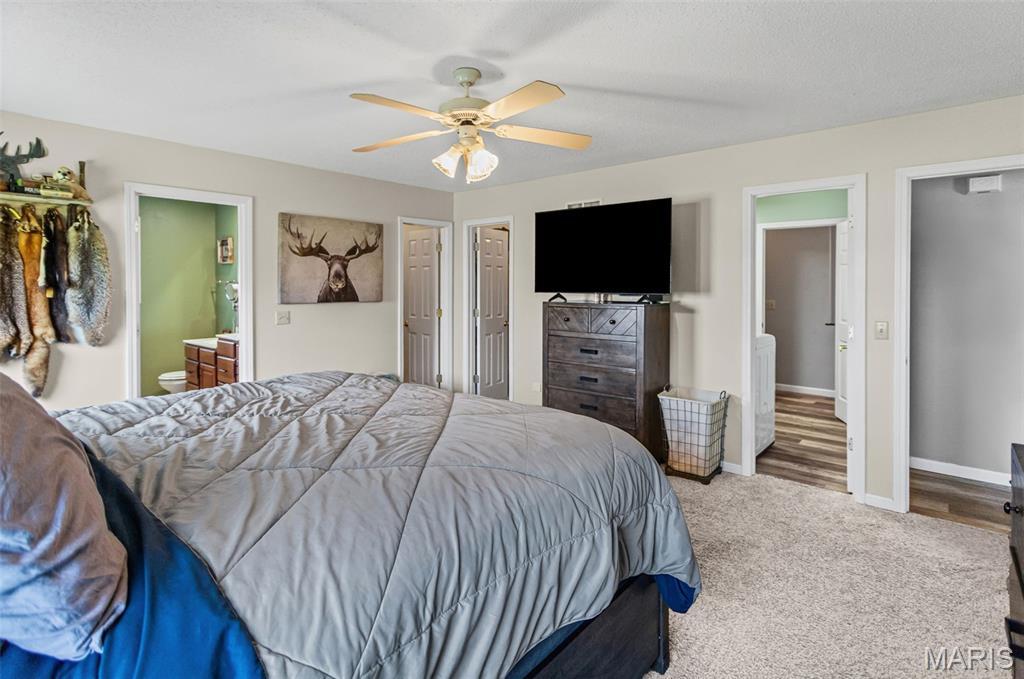 124 Evergreen Court Brighton, IL 62012 - Photo 28 of 69