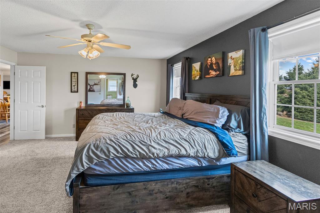 124 Evergreen Court Brighton, IL 62012 - Photo 29 of 69