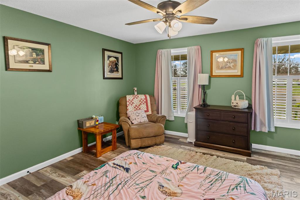 124 Evergreen Court Brighton, IL 62012 - Photo 36 of 69