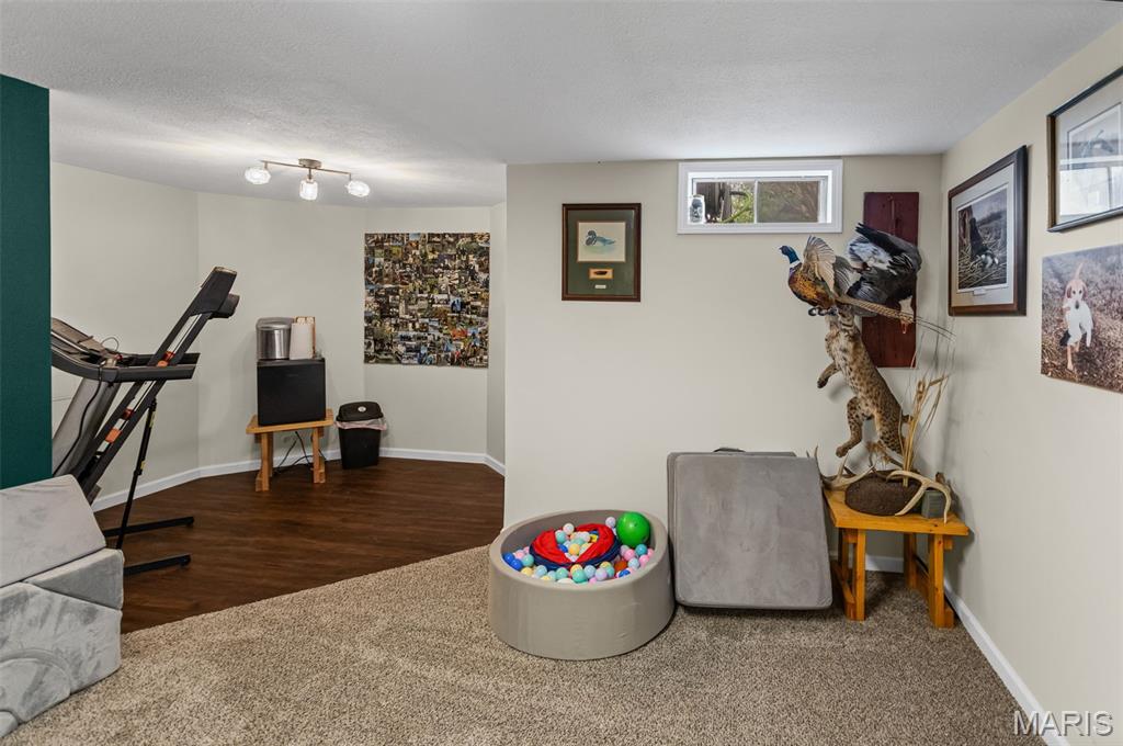 124 Evergreen Court Brighton, IL 62012 - Photo 39 of 69