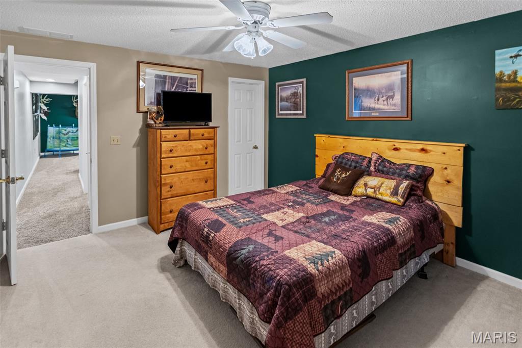 124 Evergreen Court Brighton, IL 62012 - Photo 40 of 69