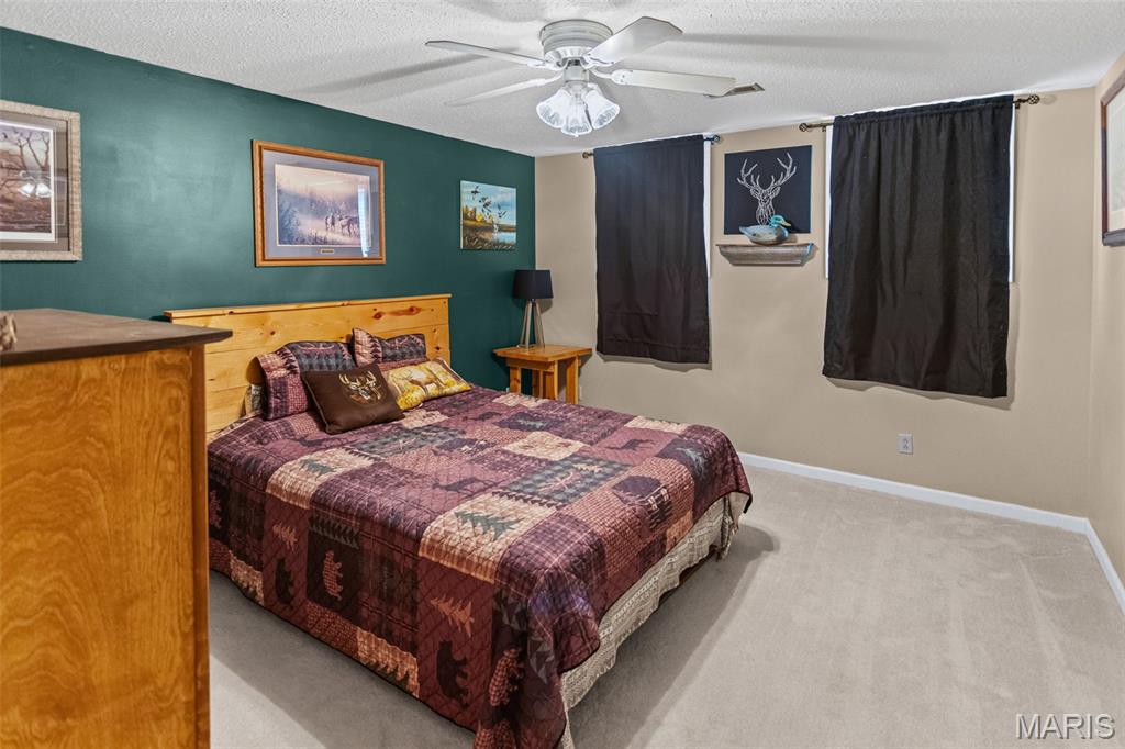 124 Evergreen Court Brighton, IL 62012 - Photo 41 of 69