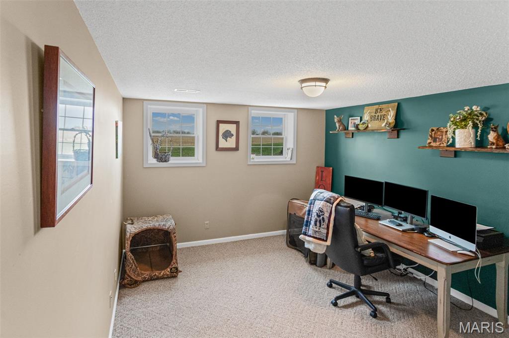 124 Evergreen Court Brighton, IL 62012 - Photo 42 of 69