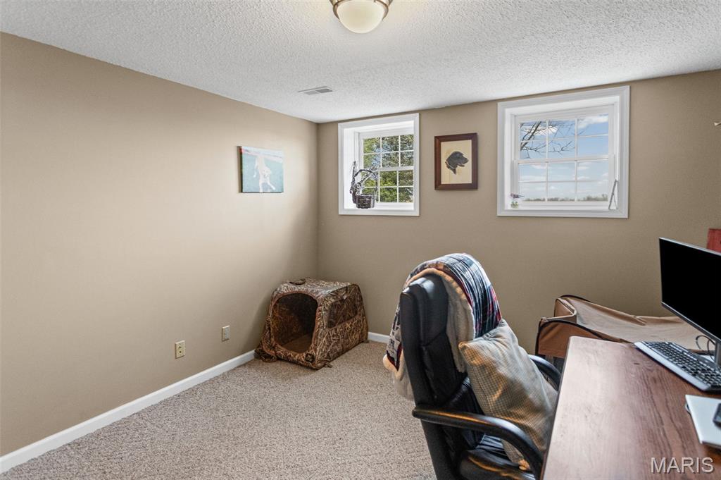 124 Evergreen Court Brighton, IL 62012 - Photo 43 of 69