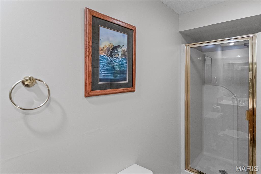 124 Evergreen Court Brighton, IL 62012 - Photo 45 of 69