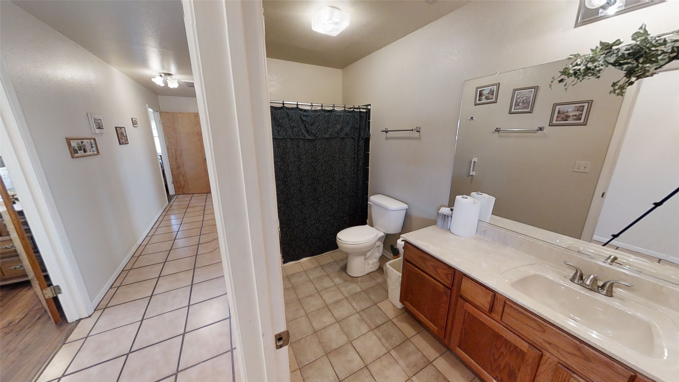 313 Rawhide Road Burnet, TX 78611 - Photo 17 of 17 a bathroom with a sink and a mirror