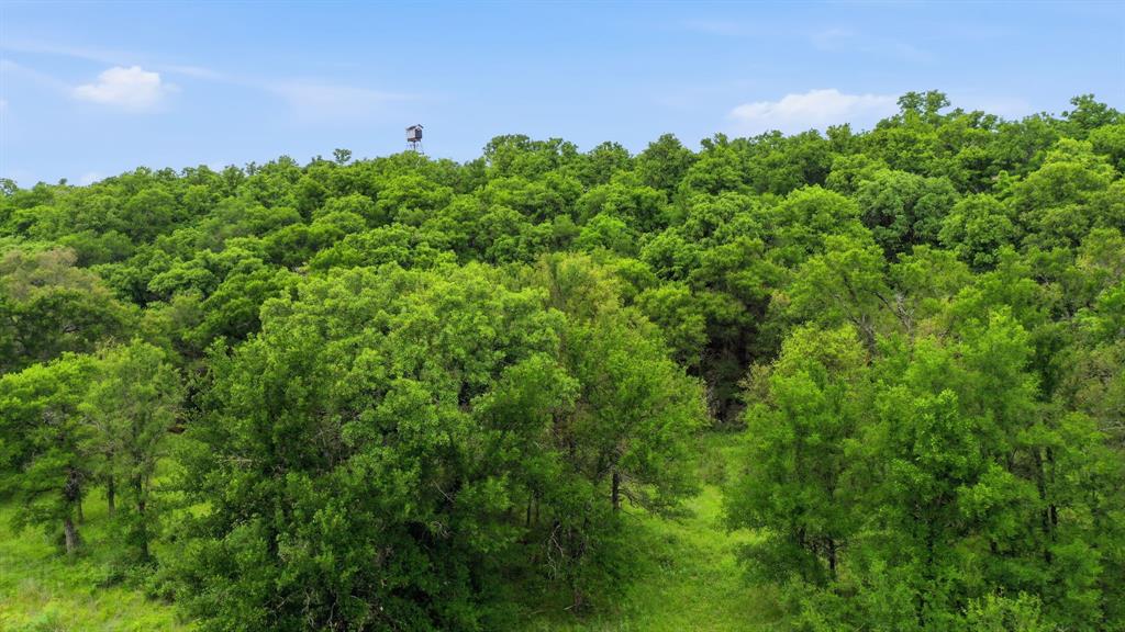 Tbd Old Post Oak Road Bowie, TX 76230 - Photo 13 of 40 a picture of a yard