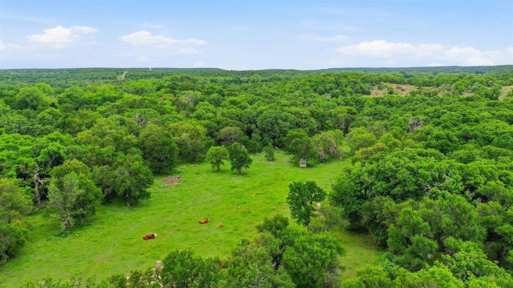 Tbd Old Post Oak Road Bowie, TX 76230 - Photo 14 of 40 a view of a garden