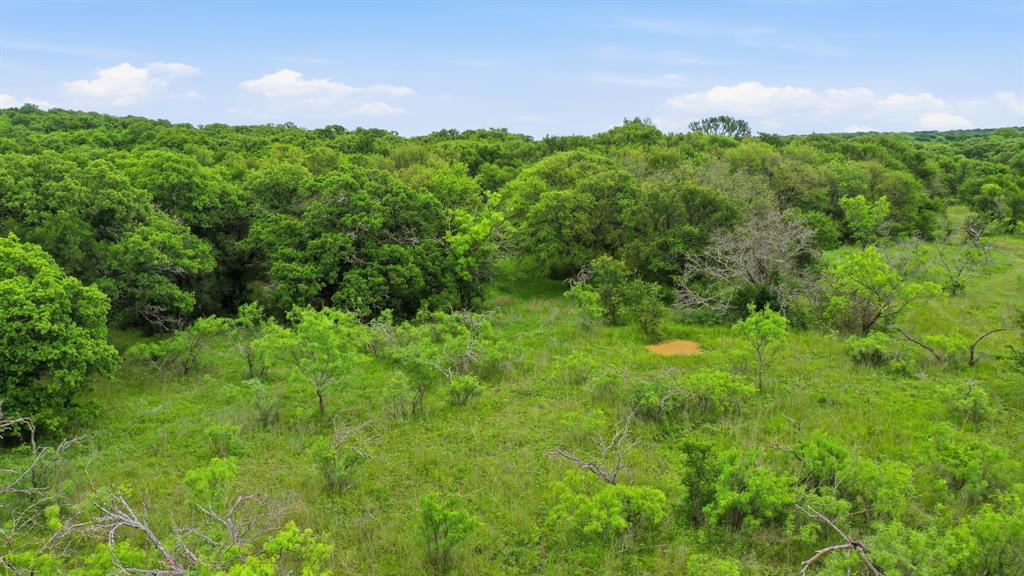 Tbd Old Post Oak Road Bowie, TX 76230 - Photo 15 of 40 a view of a lush green space