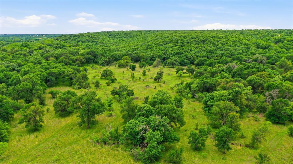 Tbd Old Post Oak Road Bowie, TX 76230 - Photo 17 of 40 a view of a big yard with plants and large trees