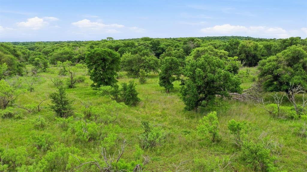 Tbd Old Post Oak Road Bowie, TX 76230 - Photo 19 of 40 a view of a lush green space